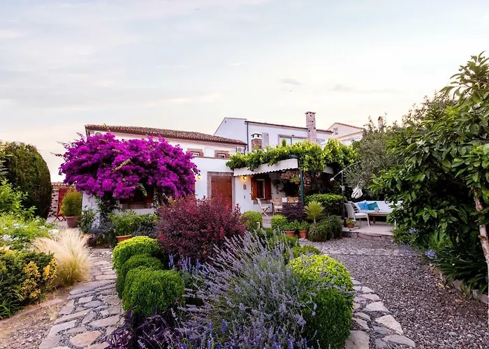 Begonvilla Evleri * Ayvalı