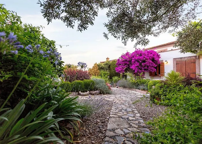 Aparthotel Begonvilla Evleri Ayvalı