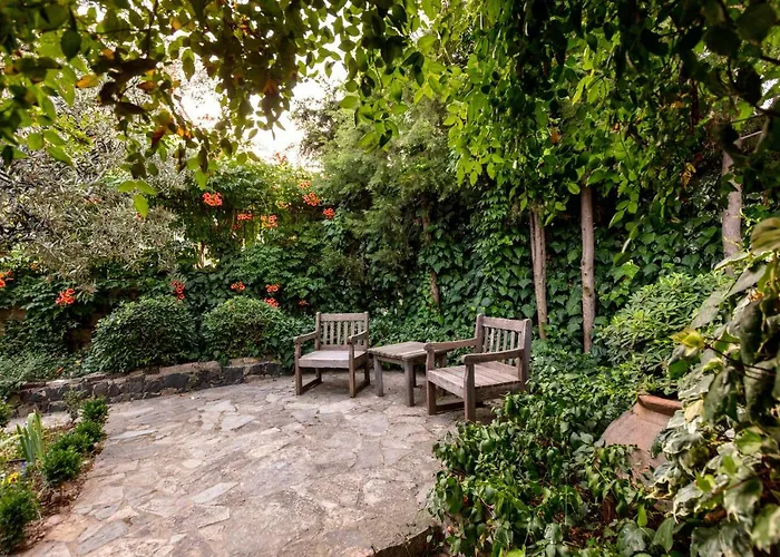 Begonvilla Evleri Ayvalı