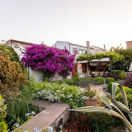 아파트호텔 Begonvilla Evleri *